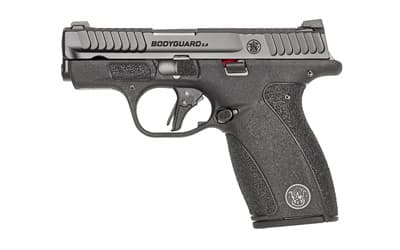 Smith & Wesson Bodyguard 2.0 380 ACP 2.75in 12+1 Armornite Stainless Polymer Frame