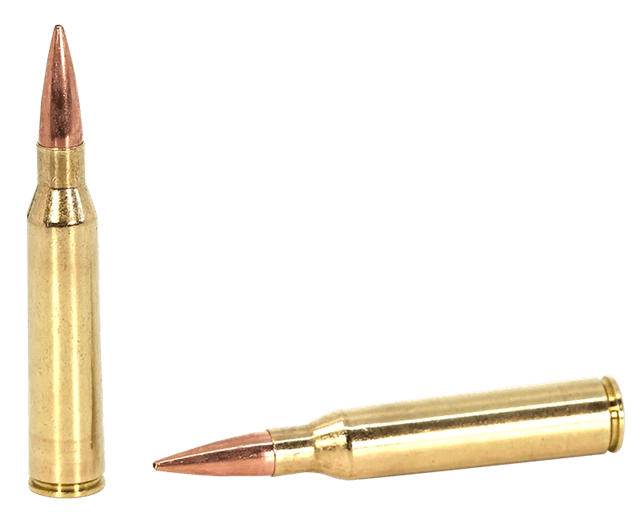 SAKO (TIKKA) MatchKing 338LapuaMag 300gr 10 Rounds