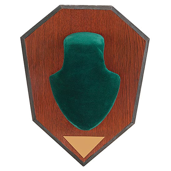 Allen Deer Antler Mount Green