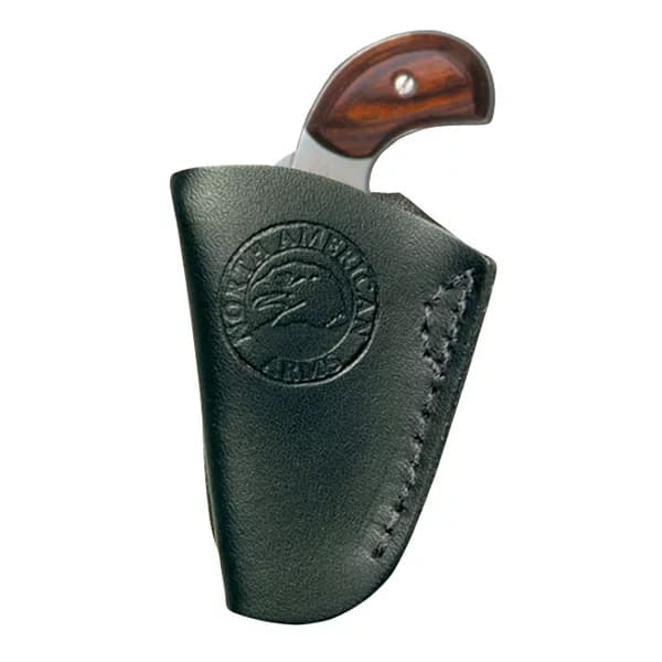 Inside Pant Holster W/Clip 22 LR/Short