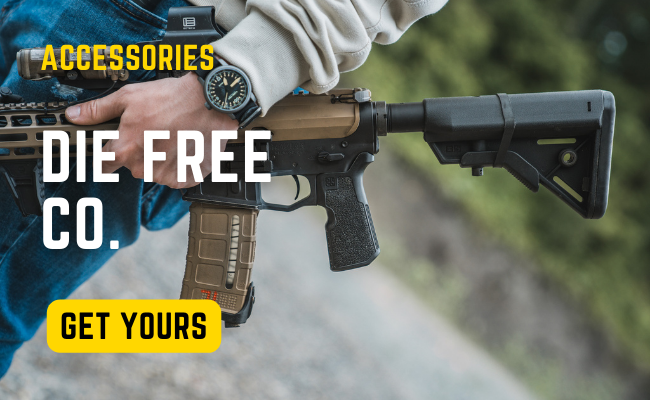 GOA: The Next Round of Pro-2A Actions